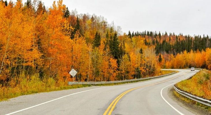 СЕПТЕМВРИЙСКИ ПРАЗНИЦИ